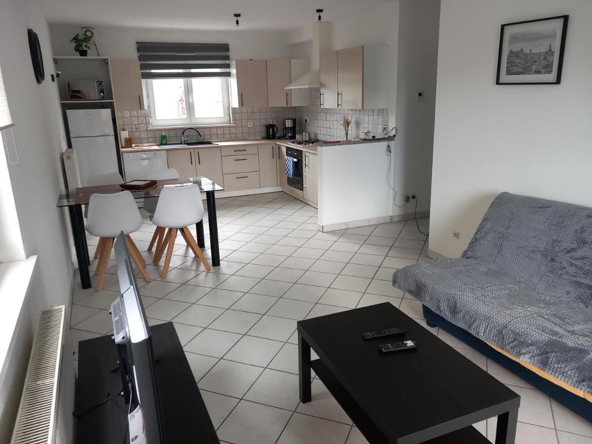 Appartement 3 Pieces Avec Balcon Rhinau Экстерьер фото